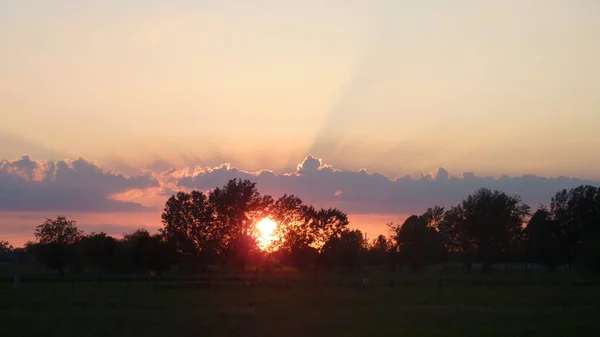 Sol Rojo Atardecer Través Los Árboles Foto Alta Calidad —  Fotos de Stock