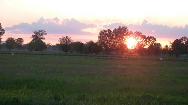 Rode Zon Bij Zonsondergang Door Bomen Hoge Kwaliteit Foto — Stockfoto