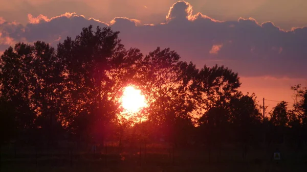 Rode Zon Bij Zonsondergang Door Bomen Hoge Kwaliteit Foto — Stockfoto