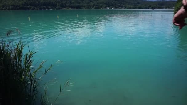 Λίμνη Worthersee κοντά στο Klagenfurt στην Αυστρία σε μια όμορφη ηλιόλουστη μέρα — Αρχείο Βίντεο