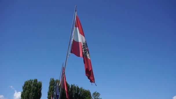 Austrian flag waving against the blue sky — Stock Video