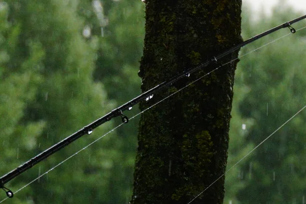 Kohlenstoff Angelrute Unter Gewitter Hochwertiges Foto — Stockfoto