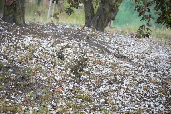 Şiddetli bir fırtınadan sonra yerdeki dolu taşları, yüksek kalite fotoğraf 