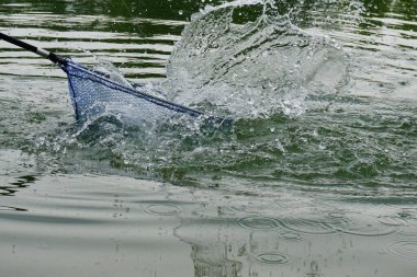 İtalya 'da fırtına altında balık tutma gölü. Yüksek kalite fotoğraf