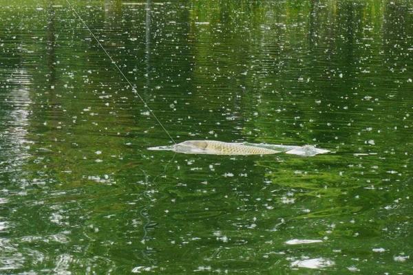 Sportfiskesjö Italien Åskväder Högkvalitativt Foto — Stockfoto