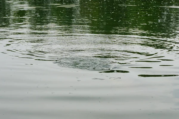 在雷雨中在意大利的钓鱼湖中钓鱼 高质量的照片 — 图库照片