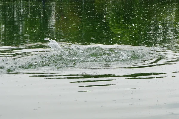 뇌우가 내리는 날씨에는 호수에서 낚시를 즐기기도 고품질 — 스톡 사진