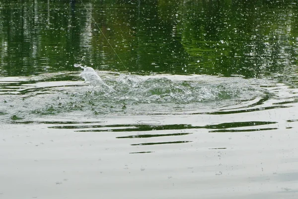 在雷雨中在意大利的钓鱼湖中钓鱼 高质量的照片 — 图库照片