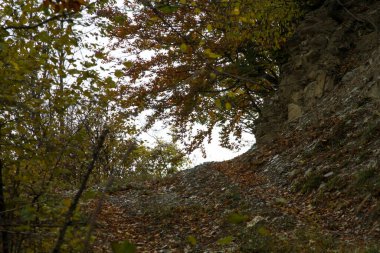 İtalya 'da apennine dağ yolunda kayalar ve meşe yaprakları. Yüksek kalite fotoğraf