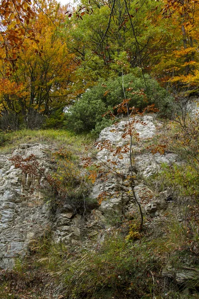 Rotsen Eikenbladeren Apennine Bergpad Italië Hoge Kwaliteit Foto — Stockfoto