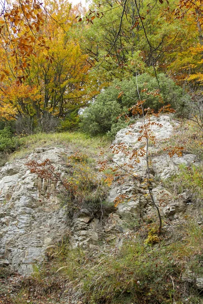 Скелі Дубове Листя Апеннінській Гірській Стежці Фотографія Високої Якості — стокове фото