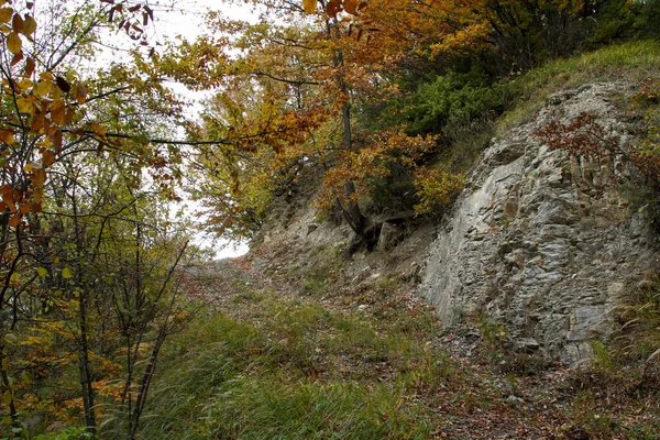 Kőzetek Tölgyfalevelek Apennin Hegyi Ösvényen Olaszországban Kiváló Minőségű Fénykép — Stock Fotó