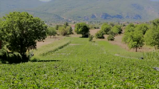 Panorama Della Campagna Abruzzese Avezzano Campi Coltivati — Video Stock