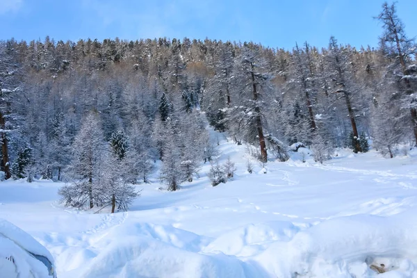 Schneebedeckte Berge Den Alpen Der Nähe Von Livigno Hochwertiges Foto — Stockfoto