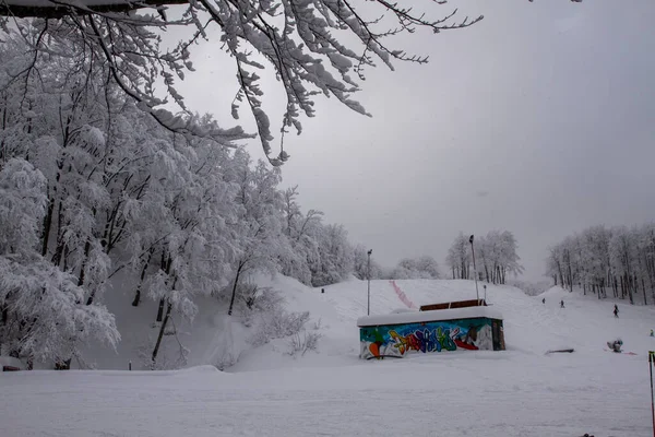 Śnieżny Krajobraz Pokrytymi Śniegiem Drzewami Zimie Apeniny Włoskie Wysokiej Jakości — Zdjęcie stockowe