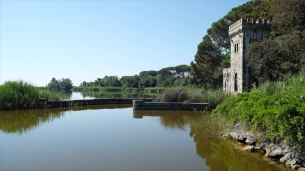 Panorama Zamku Puccini Torre Del Lago Słoneczny Dzień — Wideo stockowe