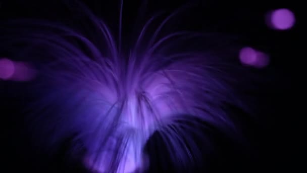 Dönen Fiberglas Lamba Farklı Renkler Bokeh Efektiyle Aydınlatıldı — Stok video