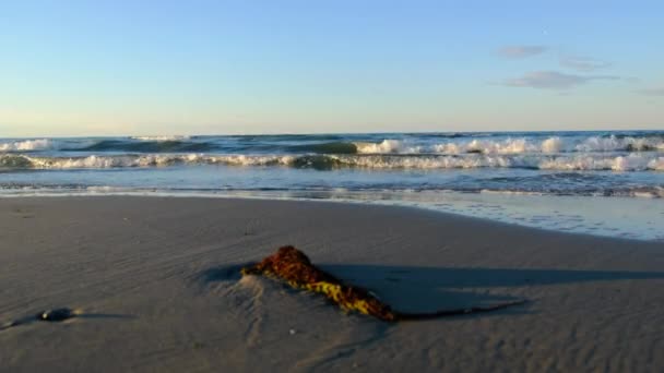 Vagues Coucher Soleil Sur Plage Cattolica Italie — Video