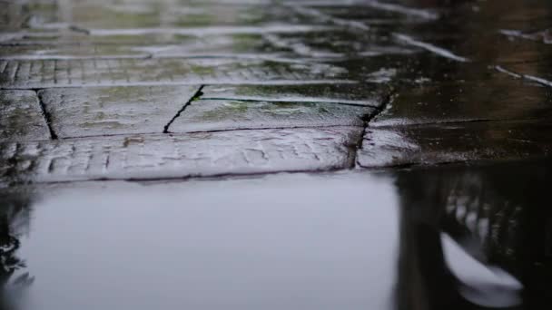 Deszcz Pada Kamienną Brukowaną Drogę — Wideo stockowe