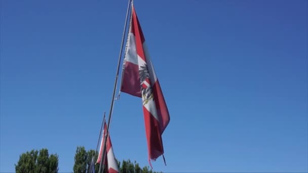 Austriacka Flaga Machająca Przed Błękitnym Niebem — Wideo stockowe