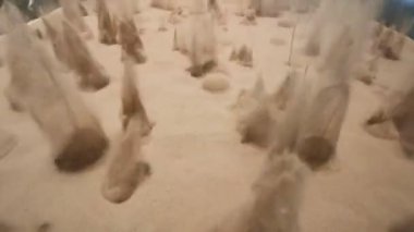 Yüzeyin altındaki hava esintisi bilim laboratuarında kum gayzerleri oluşturur. Yüksek kalite 4k görüntü