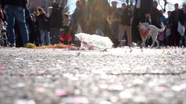 Carnaval Colorido Confete Passando Chão — Vídeo de Stock