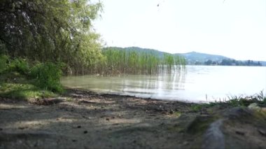 Klagenfurth, Avusturya 'daki Worthersee Gölü' ndeki sazlıklar