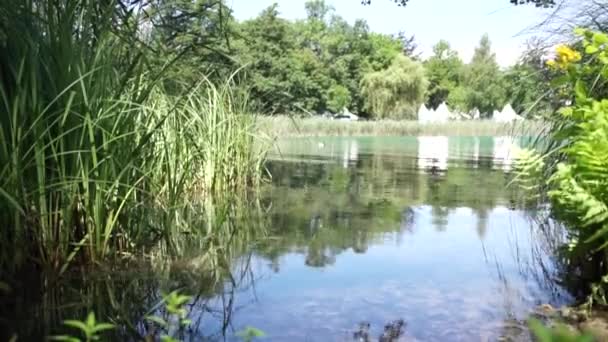 Rieten aan de Worthersee in Klagenfurth, Oostenrijk — Stockvideo