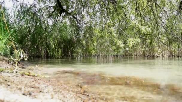 Rieten aan de Worthersee in Klagenfurth, Oostenrijk — Stockvideo