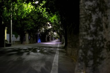 A tree-lined avenue illuminated by street lamps in the small town of Bibbiano, Reggio Emilia, Italy. High quality photo