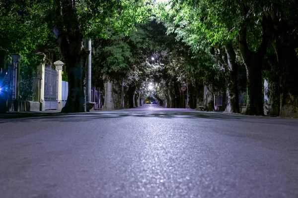 Una Avenida Arbolada Iluminada Por Farolas Pequeña Ciudad Bibbiano Reggio — Foto de Stock