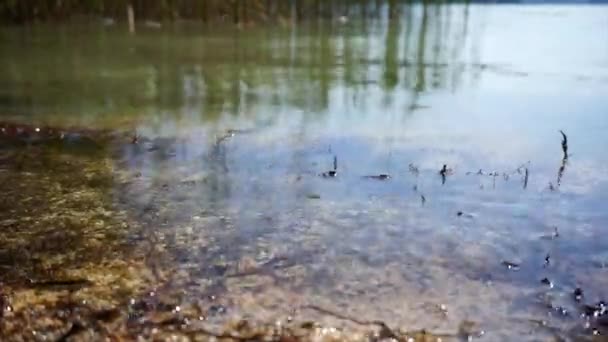 Klagenfurth, Avusturya 'daki Worthersee Gölü' ndeki suyun yakın görüntüsü. — Stok video