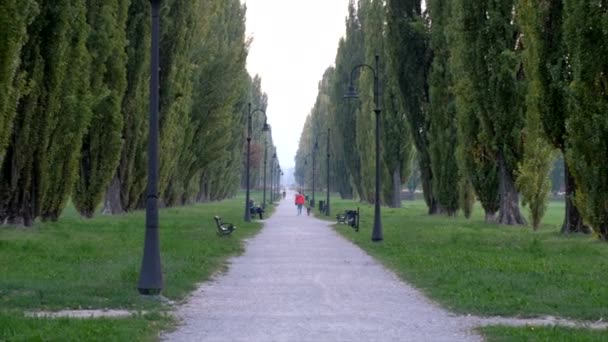 Jardim Palácio Ducal Reggia Sassuolo Província Modena Itália — Vídeo de Stock