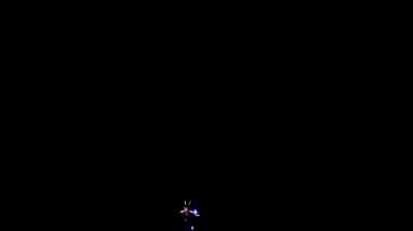 Karanlık gökyüzünde güzel renkli havai fişekler