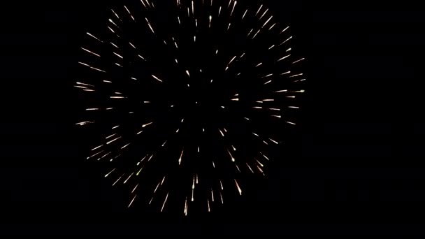 Schönes Buntes Feuerwerk Dunklen Himmel — Stockvideo