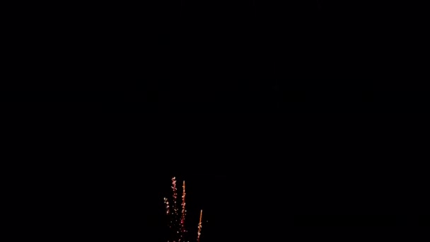 美丽多彩的烟火在漆黑的天空中 — 图库视频影像