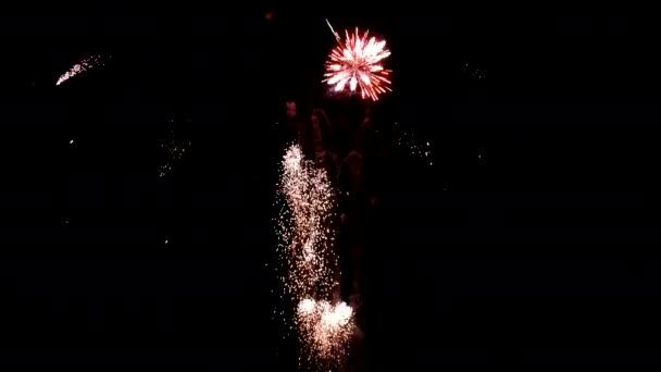 Όμορφα Πολύχρωμα Πυροτεχνήματα Στο Σκοτεινό Ουρανό — Αρχείο Βίντεο