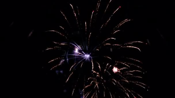 Schönes Buntes Feuerwerk Dunklen Himmel — Stockvideo