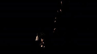 Karanlık gökyüzünde güzel renkli havai fişekler