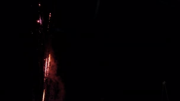 Beaux Feux Artifice Colorés Dans Ciel Sombre — Video