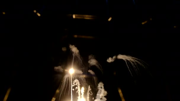 Hermosos Fuegos Artificiales Colores Cielo Oscuro — Vídeo de stock