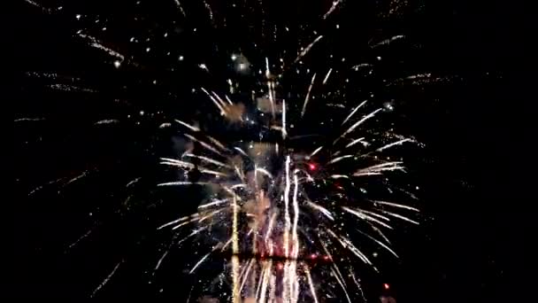 Mooi Kleurrijk Vuurwerk Donkere Lucht — Stockvideo