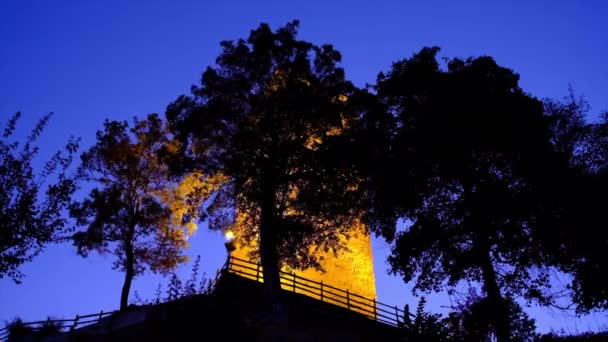 Hojas de árboles balanceándose en una noche ventosa en el Castillo de Sarzano en Casina, Reggio Emilia, Italia — Vídeo de stock