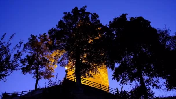 Trädlöv svajar en blåsig natt på Sarzano slott i Casina, Reggio Emilia, Italien — Stockvideo
