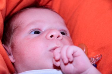 Kırmızı koltukta yeni doğmuş güzel bir bebeğin portresi. Yüksek kalite fotoğraf