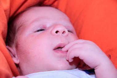 Kırmızı koltukta yeni doğmuş güzel bir bebeğin portresi. Yüksek kalite fotoğraf