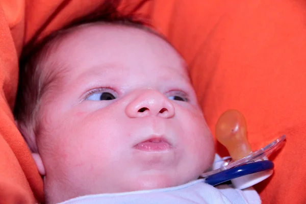 Πορτρέτο Του Όμορφου Νεογέννητου Μωρού Κόκκινο Καναπέ Υψηλής Ποιότητας Φωτογραφία — Φωτογραφία Αρχείου