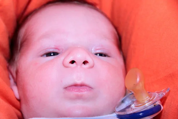 Retrato Belo Bebê Recém Nascido Sofá Vermelho Foto Alta Qualidade — Fotografia de Stock