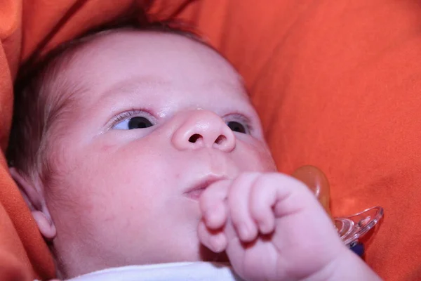 Retrato Belo Bebê Recém Nascido Sofá Vermelho Foto Alta Qualidade — Fotografia de Stock