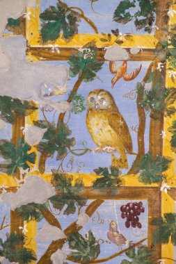 İtalya, Parma, Langhirano 'daki Torrechiara Şatosu' nun Pergola Odası 'ndaki bir freskin detayları. Yüksek kalite fotoğraf